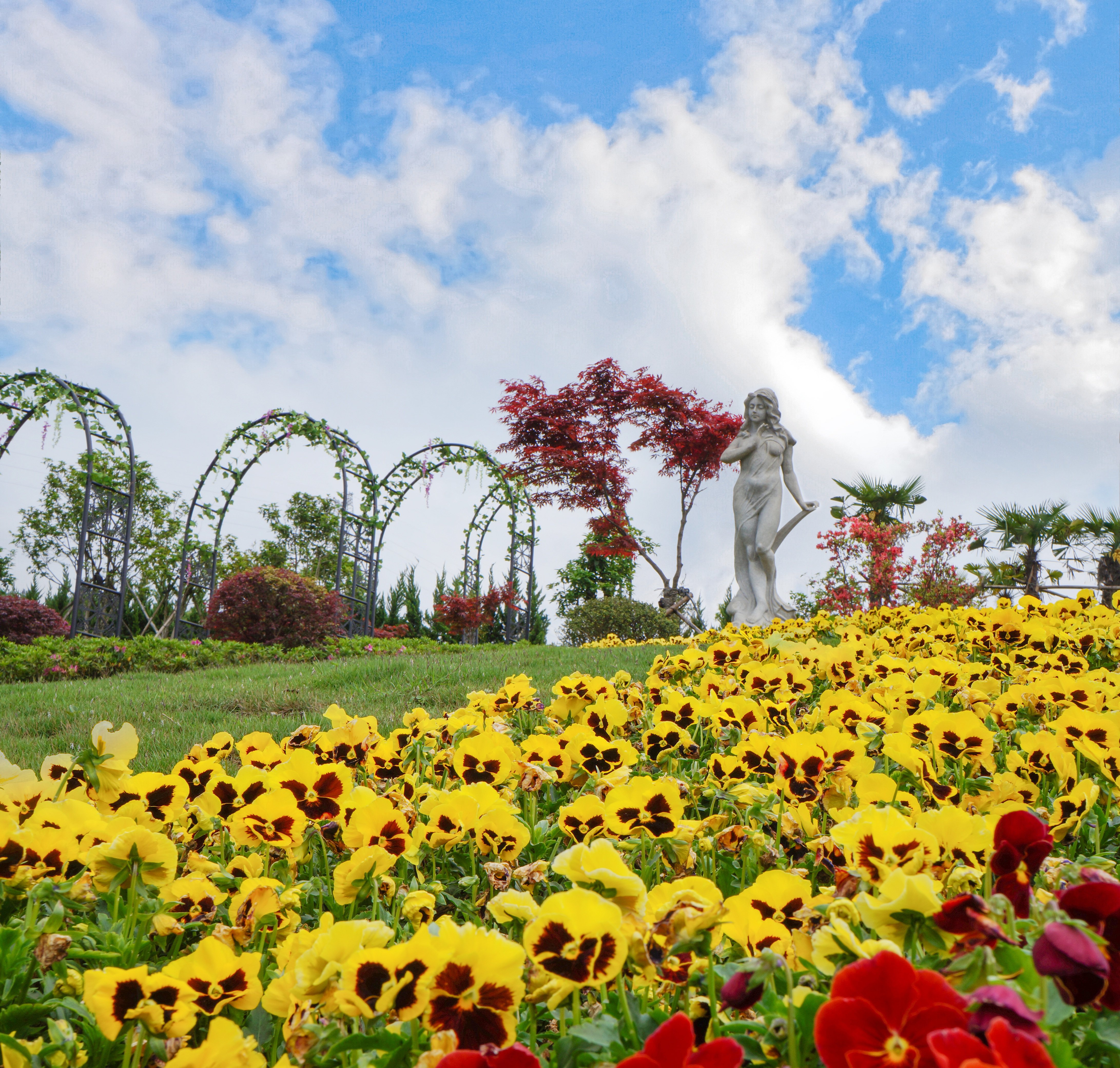 122cc太阳集成游戏(中国)有限公司官网