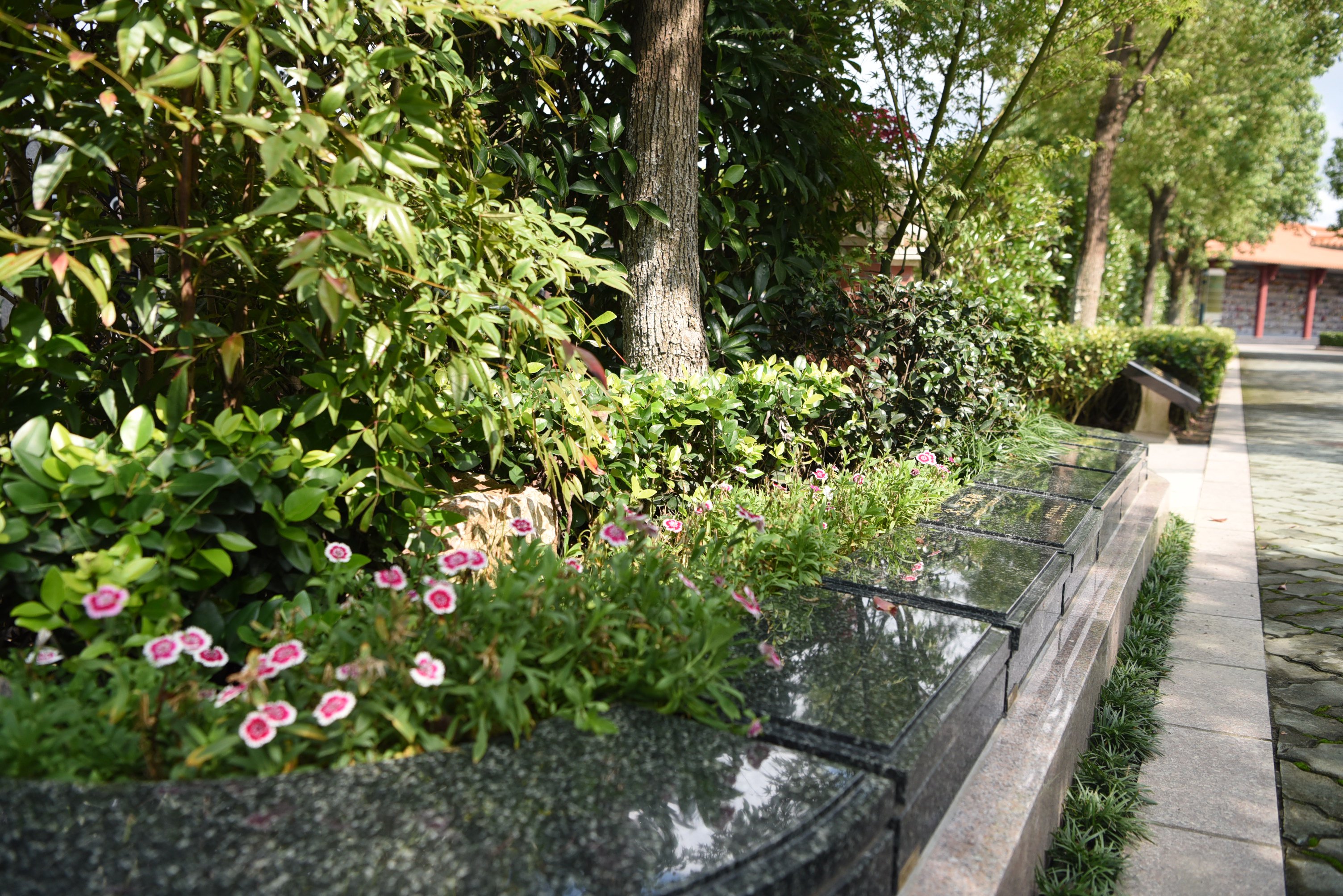 122cc太阳集成游戏(中国)有限公司官网