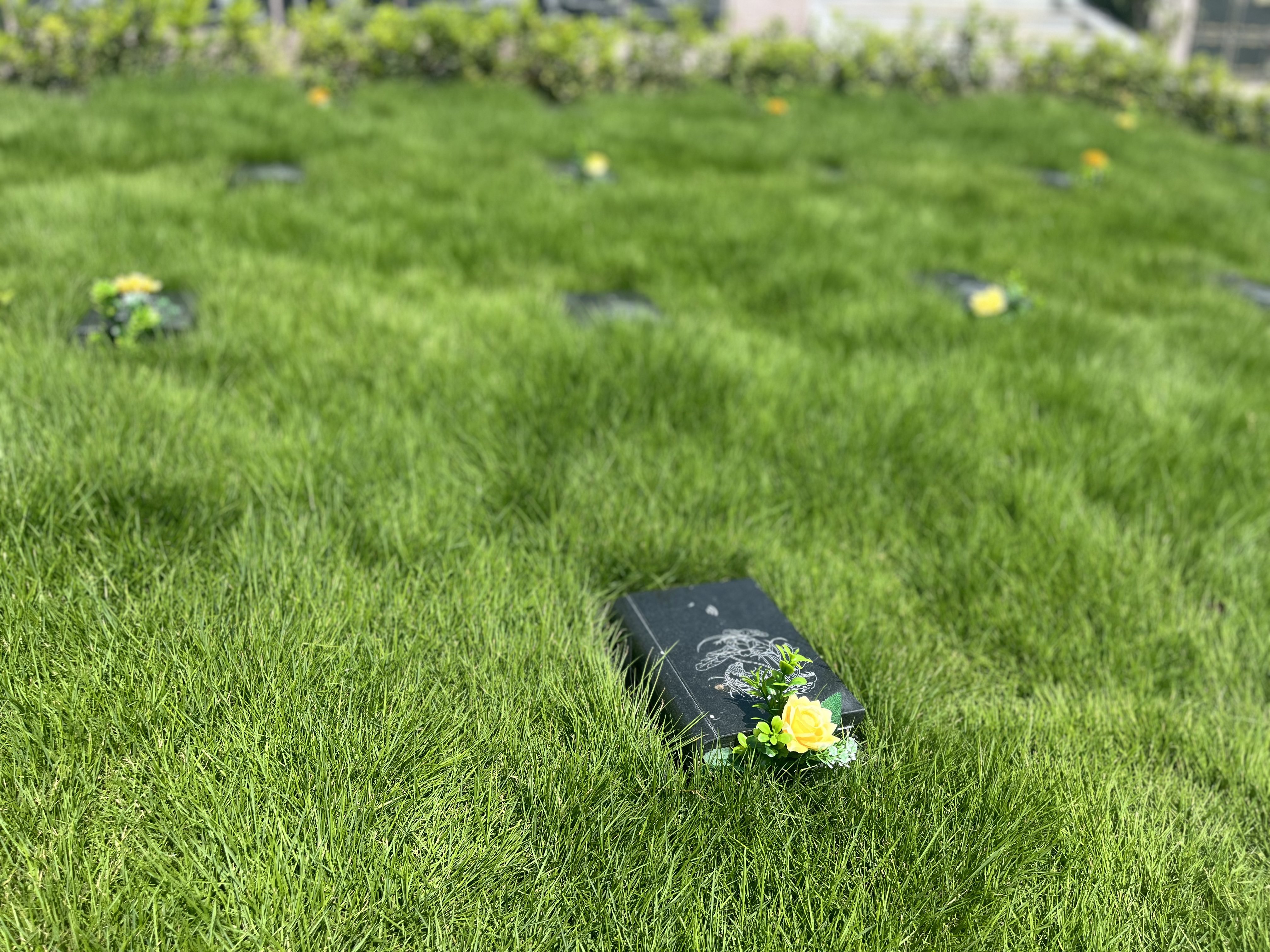 122cc太阳集成游戏(中国)有限公司官网