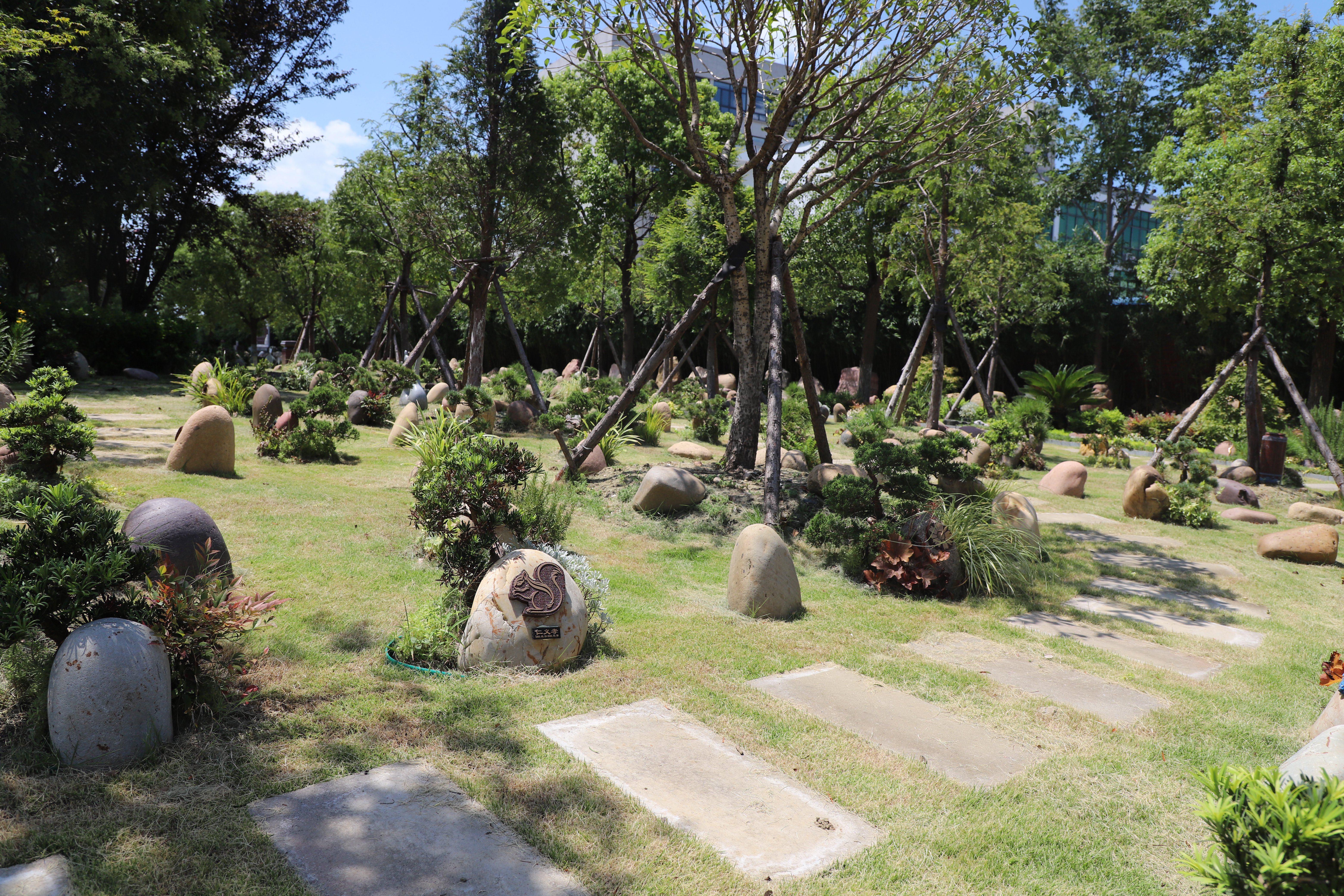 122cc太阳集成游戏(中国)有限公司官网