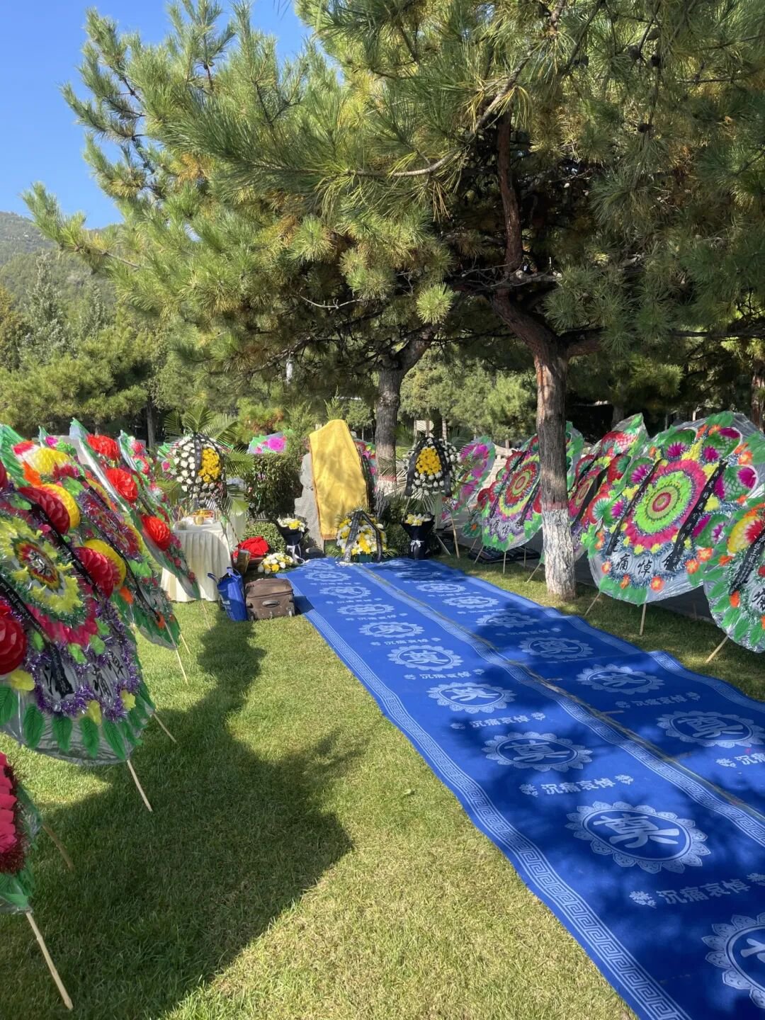 122cc太阳集成游戏(中国)有限公司官网