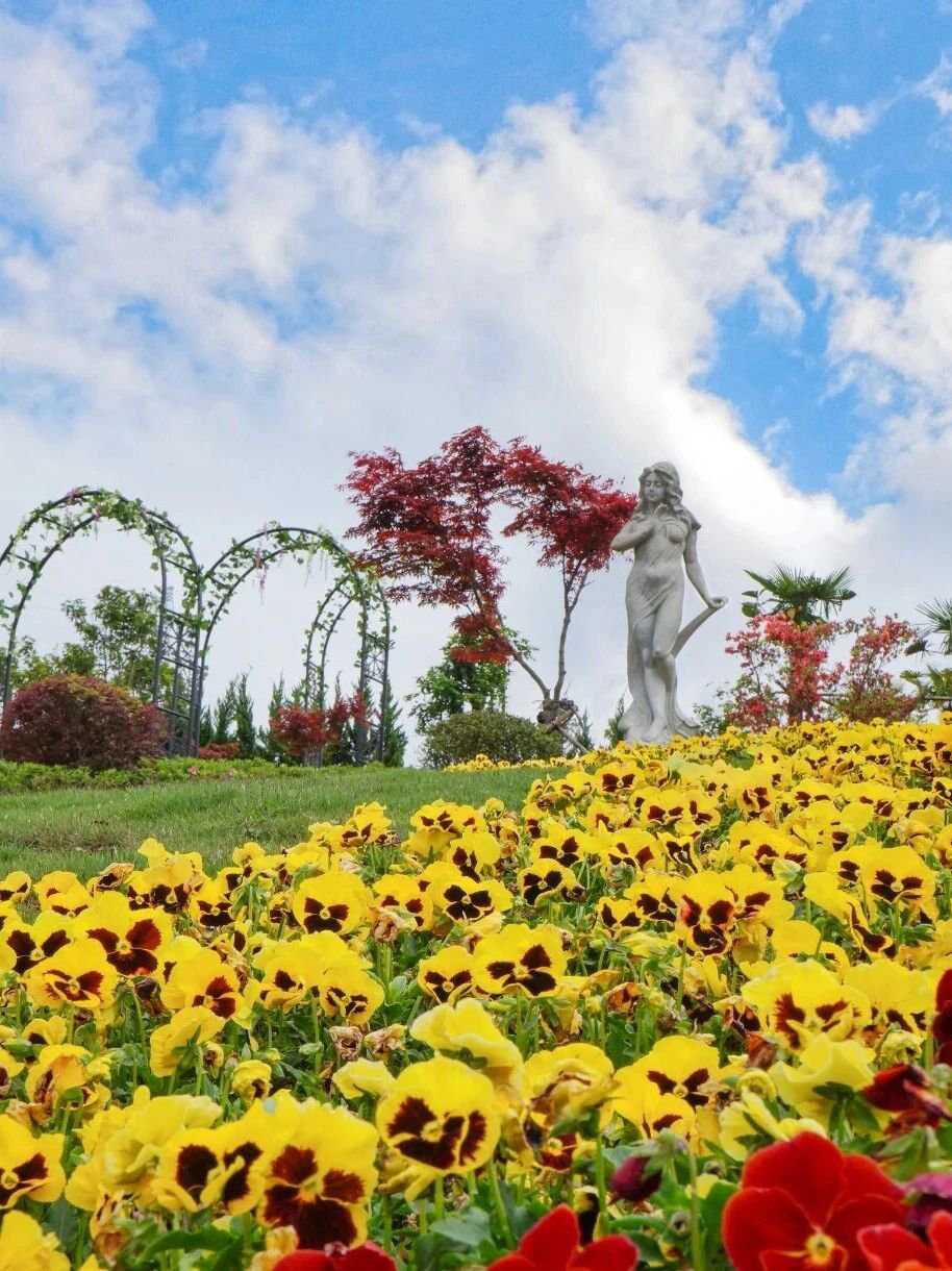 122cc太阳集成游戏(中国)有限公司官网