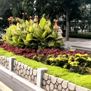 无机仿真石花箱：以永恒之名，，，，塑未来之境