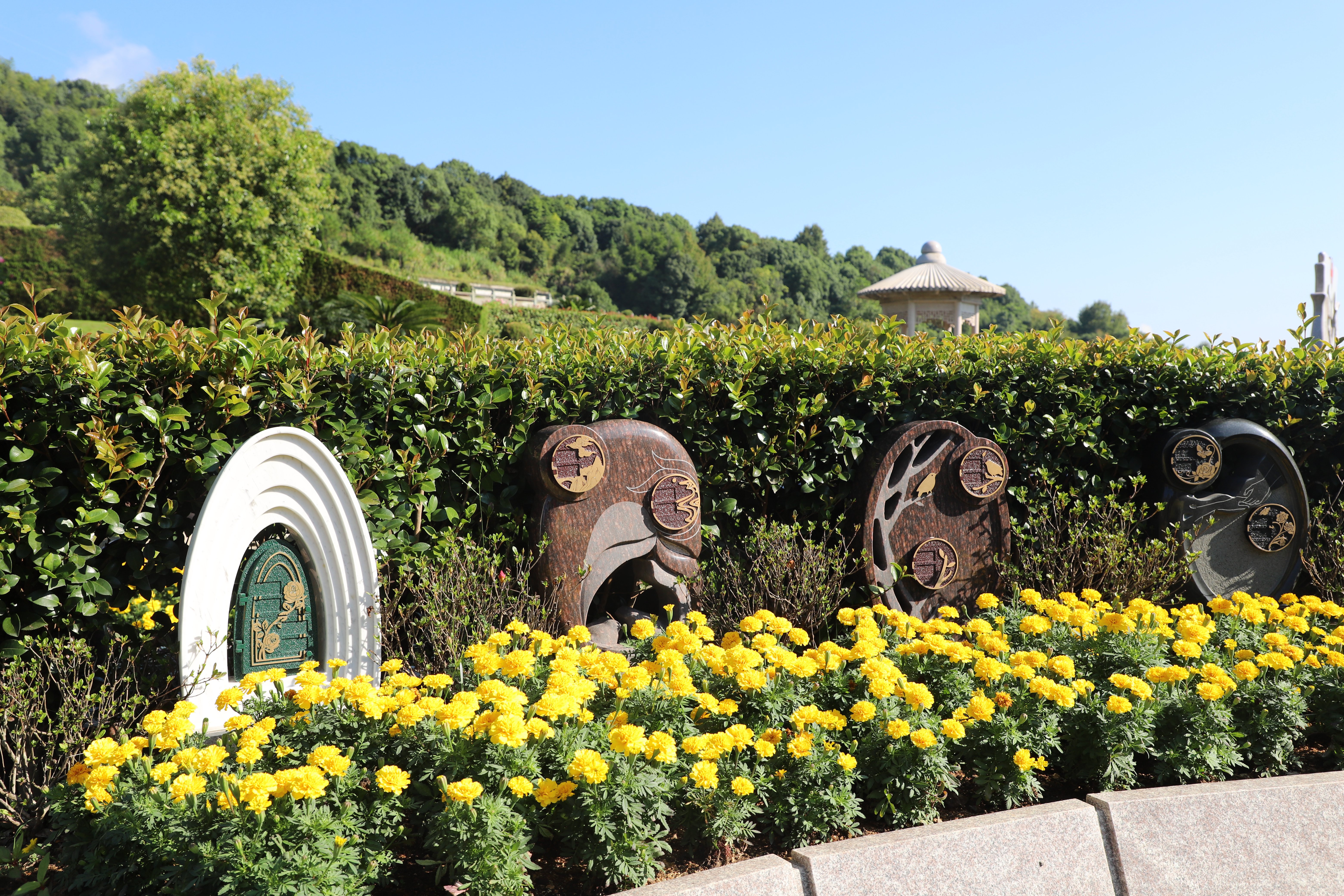 122cc太阳集成游戏(中国)有限公司官网