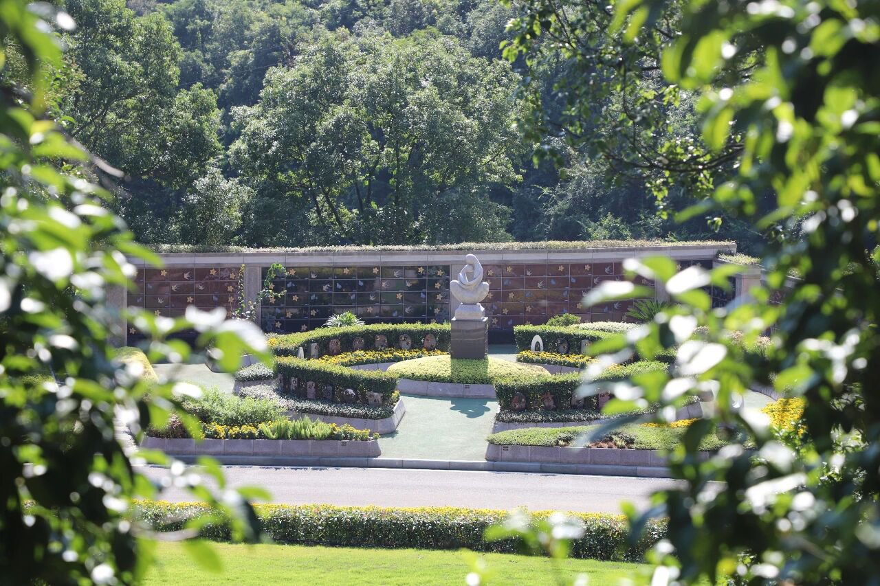 122cc太阳集成游戏(中国)有限公司官网