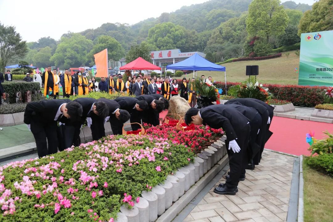 122cc太阳集成游戏(中国)有限公司官网
