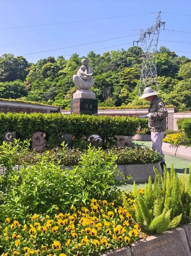 122cc太阳集成游戏(中国)有限公司官网